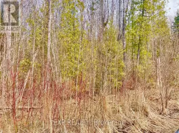 179 Forest Harbr Parkway, Tay, Ontario L0K2C0, ,Vacant Land,For Sale,Forest Harbr,S7238608