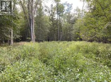 Rcp 32 Lt 6 Oram Road, Prince Edward County, Ontario K0K1G0, ,Vacant Land,For Sale,Lt 6 Oram,X7246498