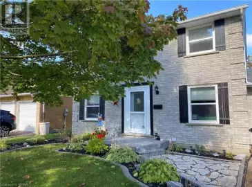 74 RIPLEY Crescent, Kitchener, Ontario N2N1V4, ,1 BathroomBathrooms,Single Family,For Lease,RIPLEY,40501287