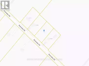 0 Bramalea Road, Caledon, Ontario L7C2R3, ,Vacant Land,For Sale,Bramalea,W7225358