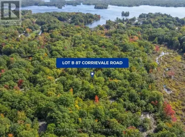 87 Corrievale Lot B Road, Georgian Bay, Ontario L0K1S0, ,Vacant Land,For Sale,Corrievale Lot B,X7225970