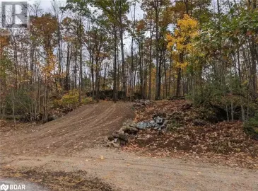 42 HUGHES LANDING Road, Cloyne, Ontario K0H1K0, ,Vacant Land,For Sale,HUGHES LANDING,40500218 42 HUGHES LANDING Road, Cloyne, Ontario K0H1K0, ,Vacant Land,For Sale,HUGHES LANDING,40500218