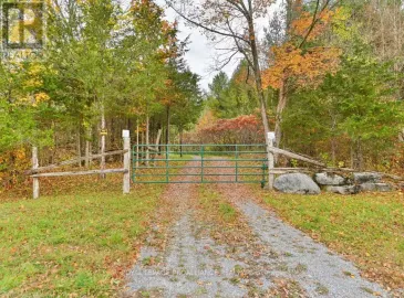 1670 Daley Road, Tyendinaga, ON K0K2W0, ,Vacant Land,For Sale,Daley,X7227574