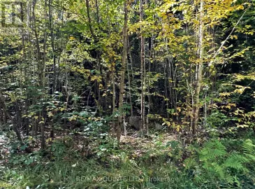 Lot 3 Concession 5, Addington Highlands, Ontario K0H1K0, ,Vacant Land,For Sale,Concession 5,X7231160