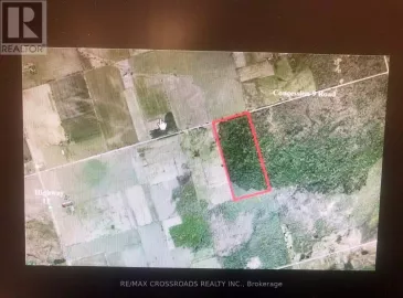 1630 Concession 9 Road, Brock, ON L0K1B0, ,Vacant Land,For Sale,Concession 9,N7233128