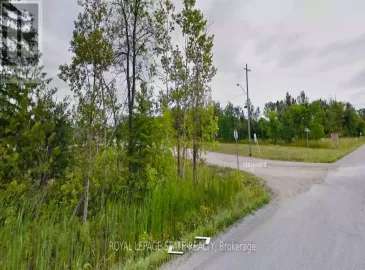 Lot 129 Hayward Street, Northeastern Manitoulin and, ON P0P1K0, ,Vacant Land,For Sale,Hayward,X7234154