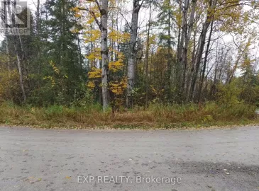 Lot 17 Macintyre Road, Kawartha Lakes, ON K0M2B0, ,Vacant Land,For Sale,Macintyre,X7236490 Lot 17 Macintyre Road, Kawartha Lakes, ON K0M2B0, ,Vacant Land,For Sale,Macintyre,X7236490