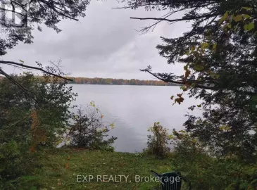 82 Macintyre Road, Kawartha Lakes, ON K0M2B0, ,Vacant Land,For Sale,Macintyre,X7236496 82 Macintyre Road, Kawartha Lakes, ON K0M2B0, ,Vacant Land,For Sale,Macintyre,X7236496