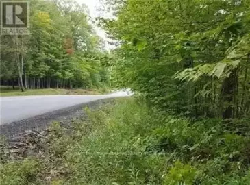 102 Bayview Drive, Carling, ON P0G1G0, ,Vacant Land,For Sale,Bayview,X7237822 102 Bayview Drive, Carling, ON P0G1G0, ,Vacant Land,For Sale,Bayview,X7237822
