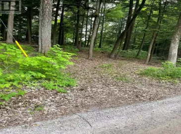 0 Mikolla Road, Marmora and Lake, ON K0K2M0, ,Vacant Land,For Sale,Mikolla,X7224850