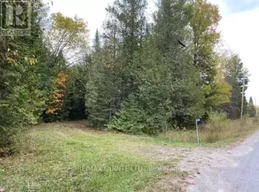 574 Cedar School Road, Madoc, ON K0K2K0, ,Vacant Land,For Sale,Cedar School,X7242724