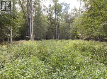 Rcp 32 Lt 6 Oram Road, Prince Edward County, Ontario K0K1G0, ,Vacant Land,For Sale,Lt 6 Oram,X7246498 Rcp 32 Lt 6 Oram Road, Prince Edward County, Ontario K0K1G0, ,Vacant Land,For Sale,Lt 6 Oram,X7246498