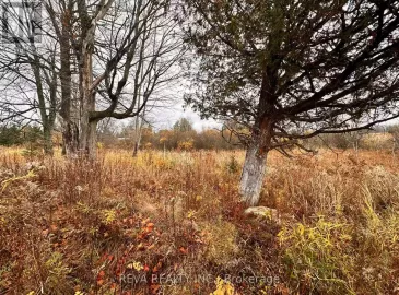 0 Upper Turriff Road, Bancroft, Ontario K0L2L0, ,Vacant Land,For Sale,Upper Turriff,X7254618