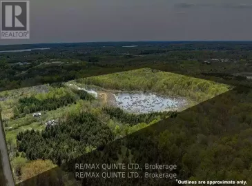 289 Woods Road, Madoc, ON K0K2K0, ,Vacant Land,For Sale,Woods,X7255322 289 Woods Road, Madoc, ON K0K2K0, ,Vacant Land,For Sale,Woods,X7255322