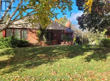 143 Avenue Road, Newmarket, ON L3Y1N2, 3 Bedrooms Bedrooms, ,1 BathroomBathrooms,Single Family,For Lease,Avenue,N7256742