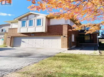 5953 Chorley Basement Place, Mississauga, Ontario L5M5L8, 2 Bedrooms Bedrooms, ,1 BathroomBathrooms,Single Family,For Lease,Chorley Basement,W7257050