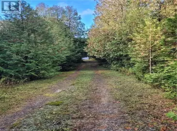 88 Pt Lot Highway 10, West Grey, Ontario N0C1H0, ,Vacant Land,For Sale,Pt Lot Highway 10,X7261530 88 Pt Lot Highway 10, West Grey, Ontario N0C1H0, ,Vacant Land,For Sale,Pt Lot Highway 10,X7261530