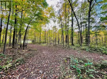 N/A Concession 8 Road, West Grey, Ontario N0C1H0, ,Vacant Land,For Sale,Concession 8,X7261518 N/A Concession 8 Road, West Grey, Ontario N0C1H0, ,Vacant Land,For Sale,Concession 8,X7261518
