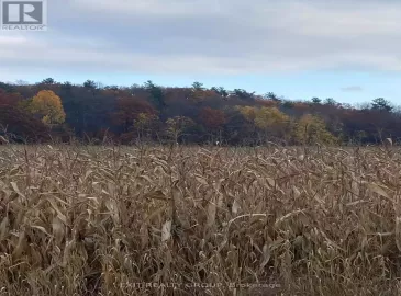 00 Deer Run Road, Quinte West, Ontario K0K2C0, ,Vacant Land,For Sale,Deer Run,X7262134