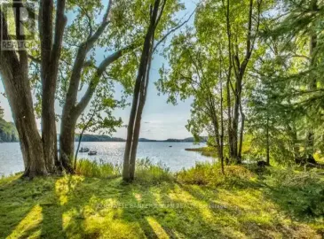 1027 Wonder Beach Road, Muskoka Lakes, Ontario P0B1M0, ,Single Family,For Sale,Wonder Beach,X7262046 1027 Wonder Beach Road, Muskoka Lakes, Ontario P0B1M0, ,Single Family,For Sale,Wonder Beach,X7262046