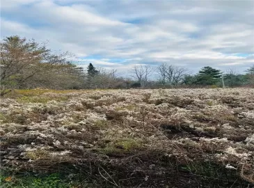 Campbellville, Ontario L0P1B0, ,Vacant Land,For Sale,H4178855