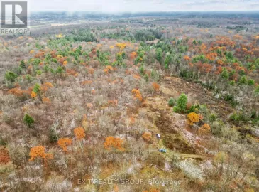 0 Morrison Road, Madoc, Ontario K0K1Y0, ,Vacant Land,For Sale,Morrison,X7265962 0 Morrison Road, Madoc, Ontario K0K1Y0, ,Vacant Land,For Sale,Morrison,X7265962
