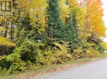 20 PINE FOREST Drive, Hepworth, Ontario N0H1P0, ,Vacant Land,For Sale,PINE FOREST,40473240 20 PINE FOREST Drive, Hepworth, Ontario N0H1P0, ,Vacant Land,For Sale,PINE FOREST,40473240