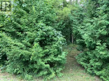 0 Pinecrest Road, Georgina, Ontario L0E1N0, ,Vacant Land,For Sale,Pinecrest,N6773022