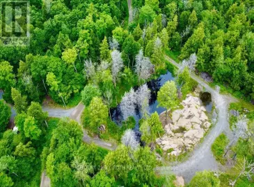 123123 Gryffin Bluffs Lane, Huntsville, Ontario P0B1M0, ,Vacant Land,For Sale,Gryffin Bluffs,X6790552