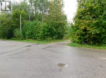 N/A Sina Street, Georgina, ON L0E1S0, ,Vacant Land,For Sale,Sina,N6814862 N/A Sina Street, Georgina, ON L0E1S0, ,Vacant Land,For Sale,Sina,N6814862
