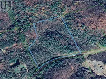 000 Ackroyd Lane, Addington Highlands, ON K0H1L0, ,Vacant Land,For Sale,Ackroyd,X6815436