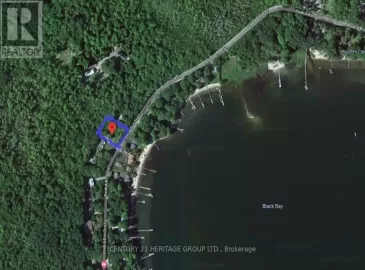 164 Peek A Boo Trail, Tiny, ON L9M1R2, ,Vacant Land,For Sale,Peek A Boo,S6816072