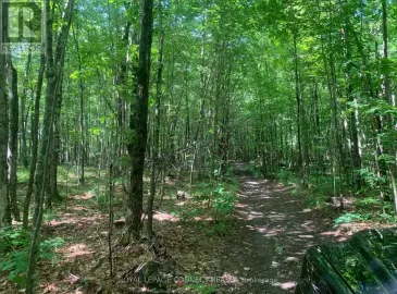 Ptlt 16 Clareview Road, Stone Mills, Ontario K0K2A0, ,Vacant Land,For Sale,Clareview,X6815420