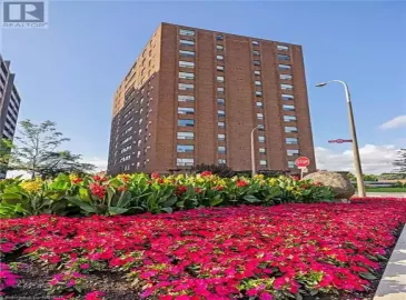 141 CHURCH Street, St. Catharines, Ontario L2R7L7, 2 Bedrooms Bedrooms, ,2 BathroomsBathrooms,Single Family,For Sale,CHURCH,40483527 141 CHURCH Street, St. Catharines, Ontario L2R7L7, 2 Bedrooms Bedrooms, ,2 BathroomsBathrooms,Single Family,For Sale,CHURCH,40483527