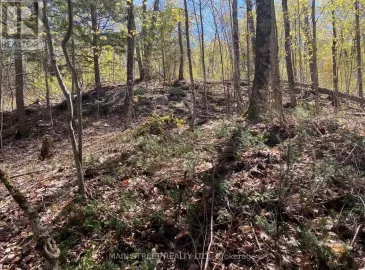 000 Blanchards Road, Kawartha Lakes, Ontario K0M2B0, ,Vacant Land,For Sale,Blanchards,X7051938