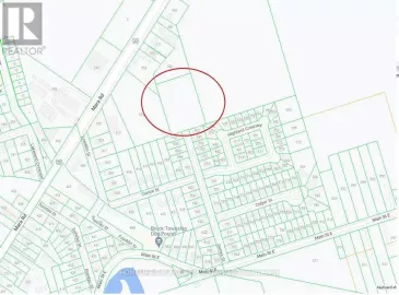 0 James Street, Brock, Ontario L0K1A0, ,Vacant Land,For Sale,James,N7215272