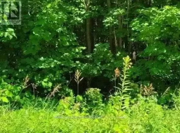 0 Luffman Road, Tweed, ON K0K2L0, ,Vacant Land,For Sale,Luffman,X7215082