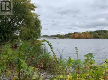 78 Trent Street, Quinte West, ON K0K2C0, 3 Bedrooms Bedrooms, ,3 BathroomsBathrooms,Single Family,For Lease,Trent,X7214810 78 Trent Street, Quinte West, ON K0K2C0, 3 Bedrooms Bedrooms, ,3 BathroomsBathrooms,Single Family,For Lease,Trent,X7214810