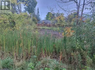 2735 Ireton Street, Innisfil, ON L9S2J2, ,Vacant Land,For Sale,Ireton,N7216280