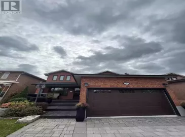 157 Embassy Bsmt Street, Vaughan, ON L4L5K6, 1 Bedroom Bedrooms, ,1 BathroomBathrooms,Single Family,For Lease,Embassy Bsmt,N7216974