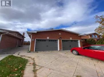 76 Dante Court, Vaughan, Ontario L4L7X4, 1 Bedroom Bedrooms, ,1 BathroomBathrooms,Single Family,For Lease,Dante,N7266950