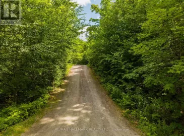 0 Creek Trail, Whitestone, Ontario P0A1G0, ,Vacant Land,For Sale,Creek,X7268618 0 Creek Trail, Whitestone, Ontario P0A1G0, ,Vacant Land,For Sale,Creek,X7268618