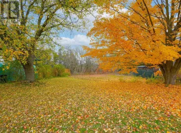 N/A Victoria Street, New Tecumseth, Ontario L9R1K1, ,Vacant Land,For Sale,Victoria,N7270146
