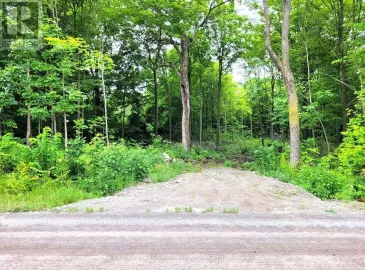 0 Spry Road, Marmora and Lake, ON K0K2M0, ,Vacant Land,For Sale,Spry,X6768490