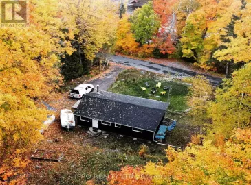 1093 Grace River Road, Highlands East, Ontario K0L3C0, 3 Bedrooms Bedrooms, ,1 BathroomBathrooms,Single Family,For Lease,Grace River,X6787084 1093 Grace River Road, Highlands East, Ontario K0L3C0, 3 Bedrooms Bedrooms, ,1 BathroomBathrooms,Single Family,For Lease,Grace River,X6787084