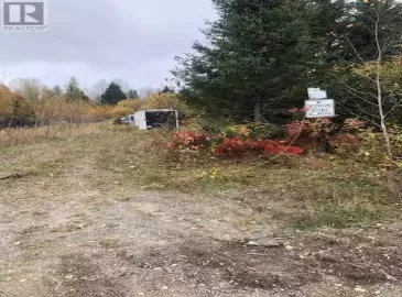 1740 C4 & 5 Glackmeyer, Cochrane, Ontario P0L1C0, ,Vacant Land,For Sale,C4 & 5 Glackmeyer,X6819026