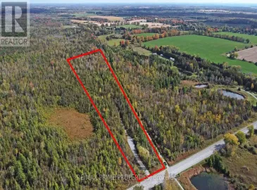 0 Simcoe Street, Kawartha Lakes, ON K0M2C0, ,Vacant Land,For Sale,Simcoe,X7055642