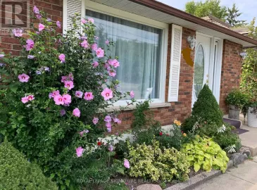 1200 Mosley Street, Wasaga Beach, Ontario L9Z2E7, 4 Bedrooms Bedrooms, ,3 BathroomsBathrooms,Single Family,For Lease,Mosley,S7056418 1200 Mosley Street, Wasaga Beach, Ontario L9Z2E7, 4 Bedrooms Bedrooms, ,3 BathroomsBathrooms,Single Family,For Lease,Mosley,S7056418