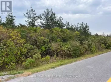 4045 County Road 13, Prince Edward County, ON K0K2T0, ,Vacant Land,For Sale,County Road 13,X7056404