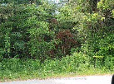 25 Murray Crescent, Clearview, ON L0M1S0, ,Vacant Land,For Sale,Murray,S7057618 25 Murray Crescent, Clearview, ON L0M1S0, ,Vacant Land,For Sale,Murray,S7057618